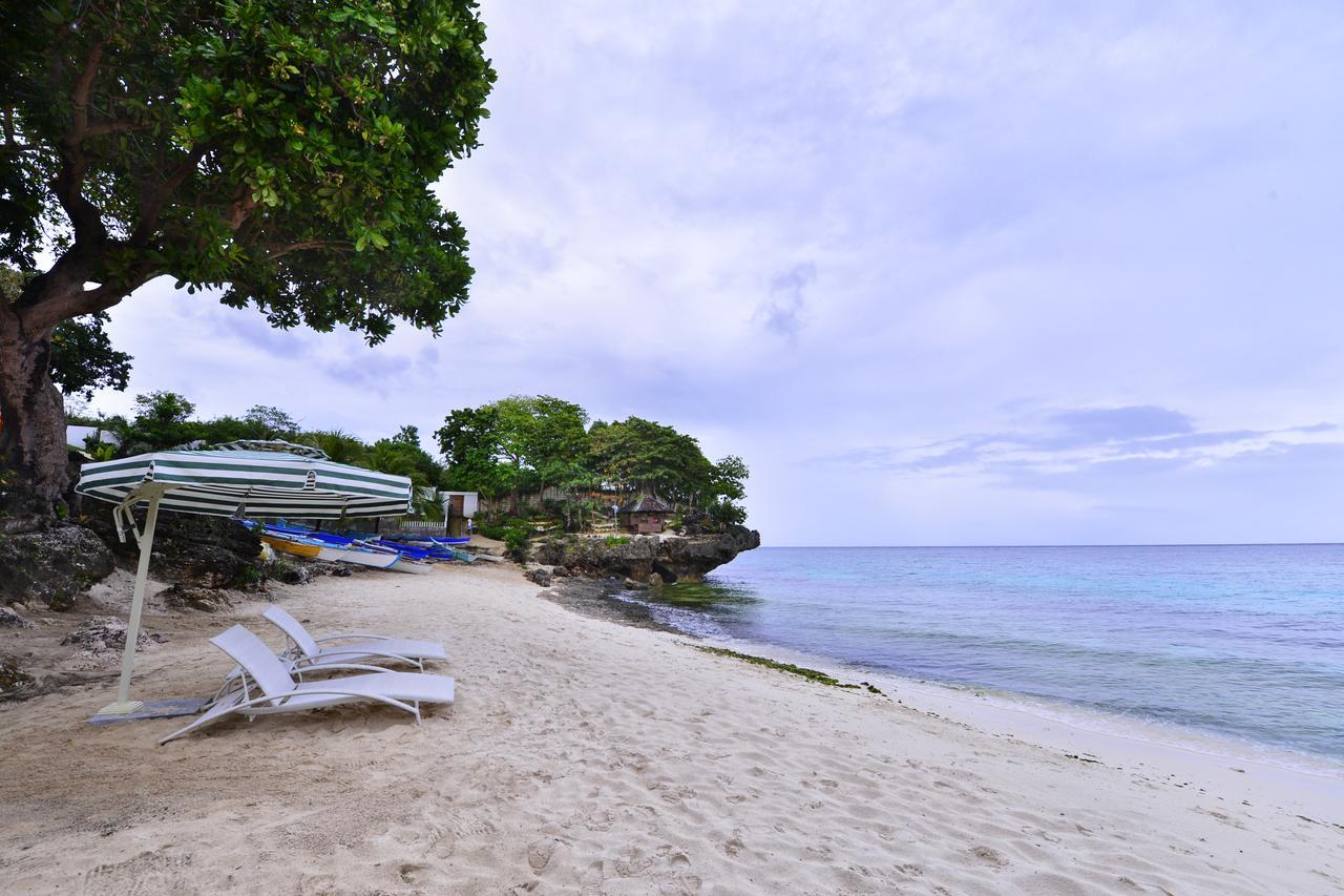 Anda Cove Beach Resort المظهر الخارجي الصورة